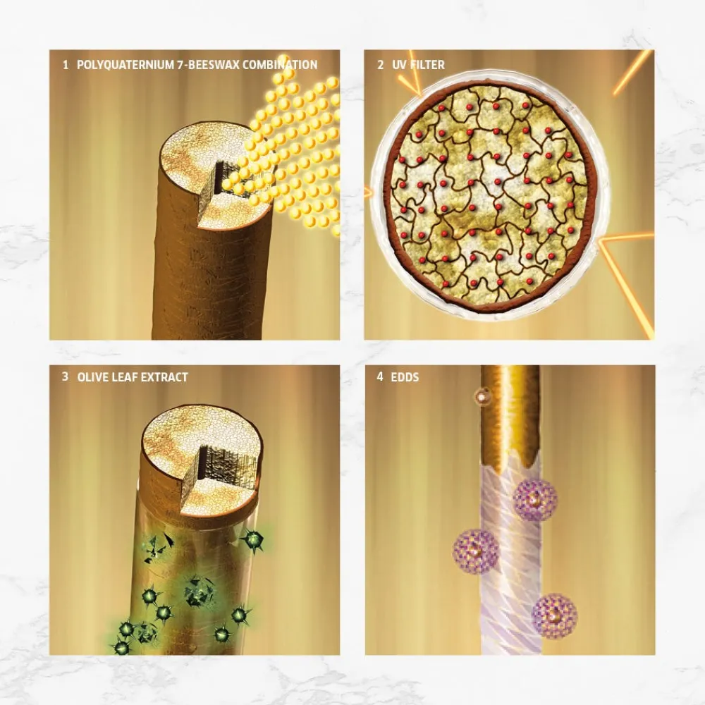 Wella SP Shampoo^Color Save Shampoo 250 ml