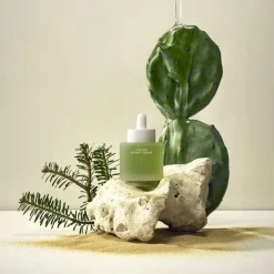 Cactus Inner Skin Moisture Bouncy Serum 52 ml-Whamisa Best